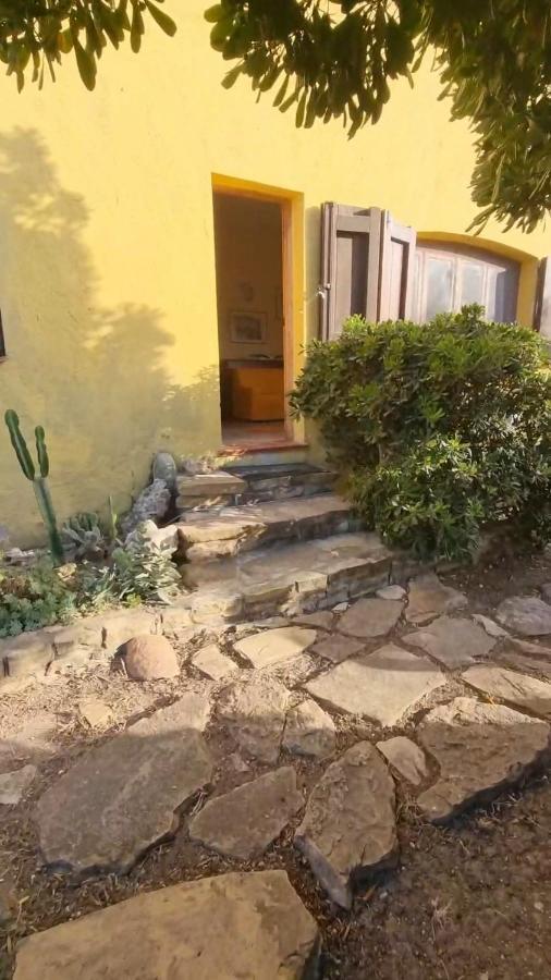 La Baia Apartments Sa Rocca Tunda Dış mekan fotoğraf